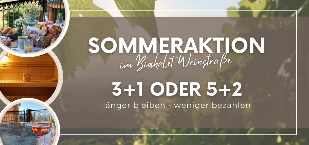 Sommeraktion