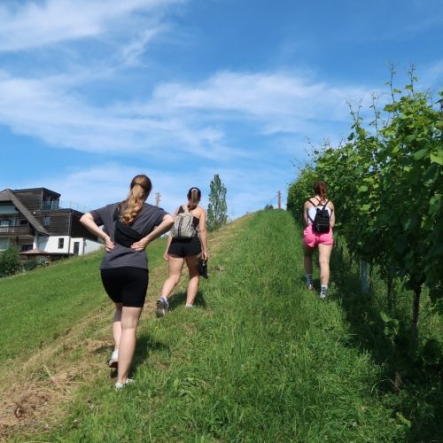 Sausaler Weinstraße