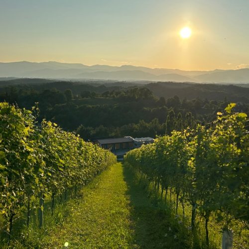 Sausaler Weinstraße